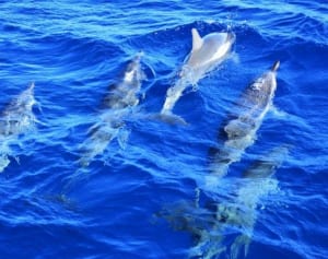 新しい自分と出会う！「1万円でできるプチ贅沢」非日常体験編