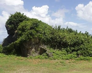 伊江に新ゴリラ岩　タッチューと“2頭”、名所に