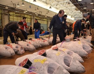 ぺろり。三浦半島　川越シェフがメニュー考案　三崎マグロ、葉山牛、素材ふんだんに
