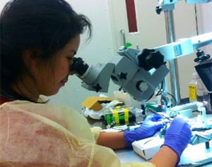 好きな道ひたすら　米国で脳腫瘍を研究　我那覇せらさん（那覇市出身）