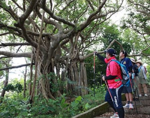 沖縄県内「まちまーい」盛況　観光協会着地型に力