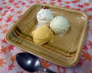 「半島アイス」試作へ　地場産使い商品化模索