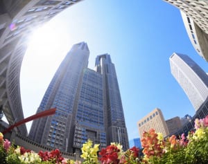 識者が解説する「都政に“ブラックボックス”ができる背景」