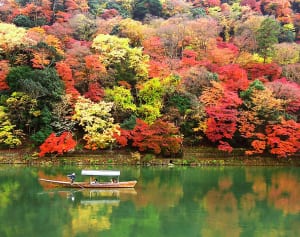 47都道府県で女子に愛される地元のメイブツ【京都府編】