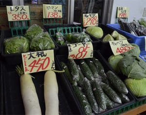 レタス一玉1350円! 沖縄､野菜高騰が離島直撃