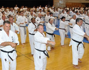 世界の「沖縄人大会」開幕へ 5700人超が文化発信、空手交流も