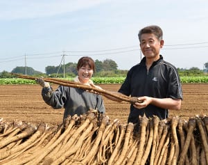 若返り効果にがん予防にも…ごぼうの効用は野菜界最強!