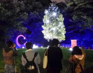 一足早いクリスマス　藤子ミュージアムでツリー点灯