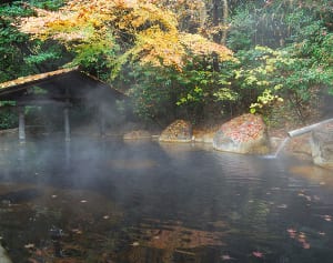 カギは硫黄泉と含鉄泉…李家幽竹さん厳選「金運アップの温泉５」
