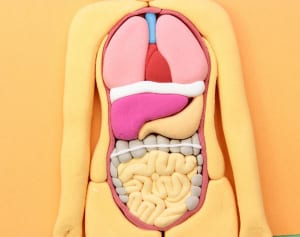 その湿疹は“腸”から！「リーキーガット症候群」の症状まとめ