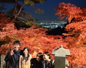 大山の秋照らす　きょうからライトアップ