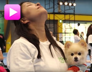 日本最大級「ドッグ・ヨガ」でのかわいいワンちゃんたち