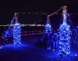 冬も夜も猿島来て　イルミツアー試行も