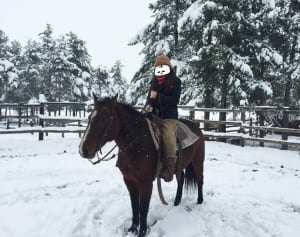 爽快！ ウエスタン乗馬で北海道の森の中へ