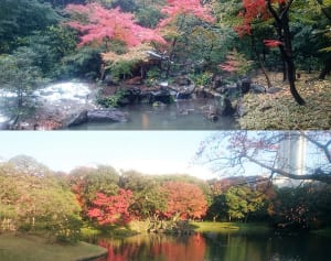 【今週の対決】六義園vs.後楽園、紅葉の庭園の軍配は!?