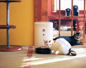【ねこ】留守中も便利な「自動えさやり器」が画期的すぎる