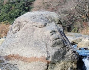 さる年惜しむ　道志川に巨石