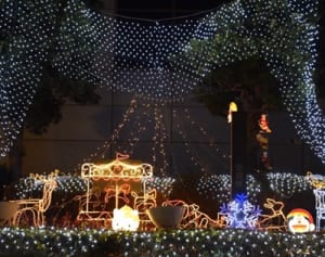 マリエン楽しんで　上映会やイルミ、26日まで