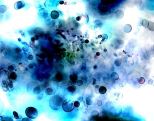 食材は1分半加熱するべし…「ノロウイルス」完全対策法5