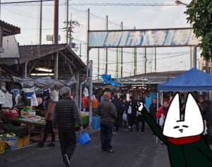 鮮魚、野菜、何でもござれの朝市で年末お買いものまつり！