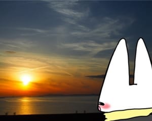 日の出パワー！太陽を拝んで元気になる新年