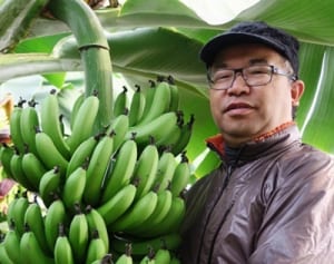 横浜バナナ知ってる？　隠れた人気商品に