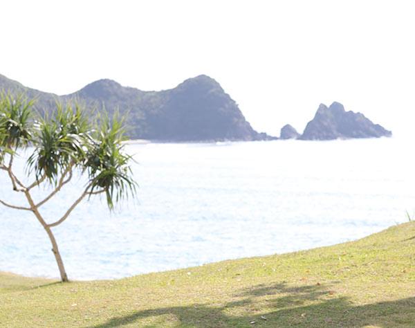キスマイ玉森が撮影で訪れた奄美大島で感動したこととは