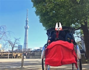 エスコートにドキドキ!?人力車でトキメキ観光