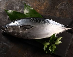 47都道府県で女子に愛される地元のメイブツ【愛媛県編】