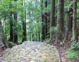 47都道府県で女子に愛される地元のメイブツ【和歌山県編】