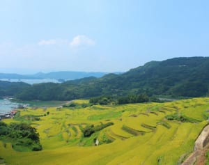 47都道府県で女子に愛される地元のメイブツ【佐賀県編】