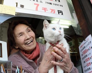 グリーンジャンボ10匹合わせて90億呼ぶリアル億招き猫たち
