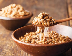 チーズや納豆まで! 発酵食品がボタンひとつ