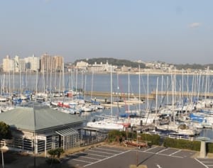 「セーリング課」を新設へ　東京五輪に向け神奈川県