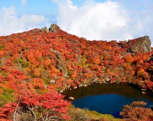 47都道府県で女子に愛される地元のメイブツ【大分県編】
