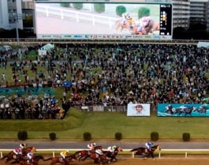 人気追い風、売得金629億円　川崎競馬