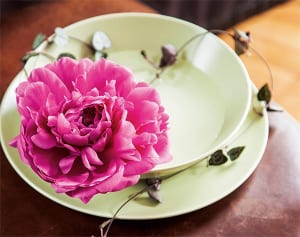 ローマ法王も魅せられた…“大阪人”赤井勝の花メソッド