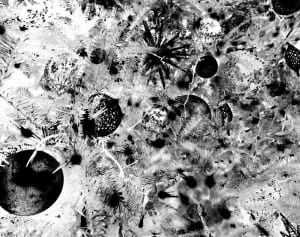 肺がん、心筋梗塞の原因にも…“猛毒黄砂”来襲の危険性