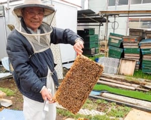 やさしい香りが人気　今井養蜂場【綾瀬市】