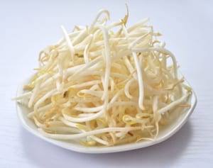 10年で100社も廃業に！原材料高騰でもやしが消える日が来る!?