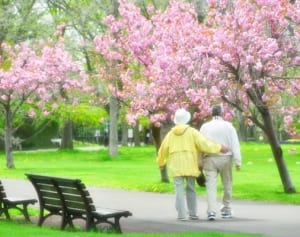 “介護に優しい街”さいたま市西区が誇るアクセス利便性