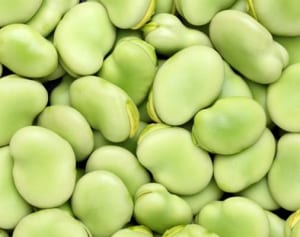 疲労回復に生活習慣病予防…“そら豆”のスゴイ健康効果