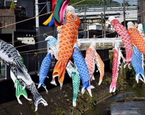 こいのぼり150匹群泳　川崎市多摩区
