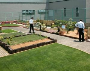 荒れ放題、撤去作業も　相模原市役所「見本園」