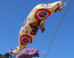 沖縄、鯉のぼりならぬ「ジュゴンのぼり」絶滅危惧種の周知を企画