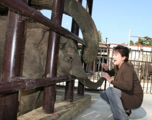 出産・離婚・転職しても女が手放してはいけないもの