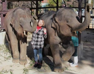 TVで話題！2度離婚し5人の子育てをした元人気モデルの今