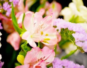 遺体からキノコが生える!? 世界の“エコ葬”が色々すごい