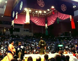 高まる相撲熱！横野レイコさんが解説“キセタカ時代”の楽しみ方