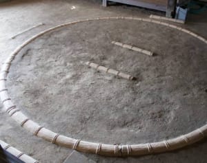 双子やイマドキの力士も！“キセタカ時代”を盛り上げる若手たち